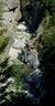 cheakamus river