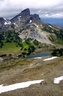 looking-towards black tusk (649 visits) looking-towards black tusk