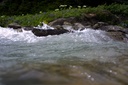 stream (606 visits) stream
