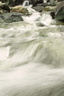 taylor creek 1