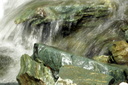 taylor creek 3