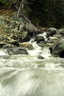 taylor creek 4