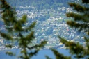 gibsons (941 visits) gibsons