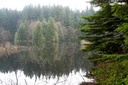 Cloudy day at Rice Lake