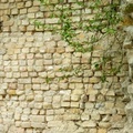 brickwall2