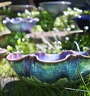 oyster pot in sun