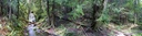 waterfall-forest
