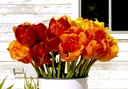 tulips on table