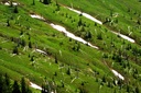 meadows manning-park