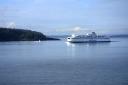 ferry_profile.jpg