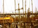 False Creek Vancouver
