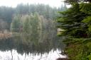 Cloudy day at Rice Lake
