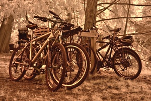 moran bikes
